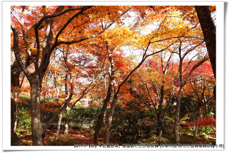 常寂光寺042