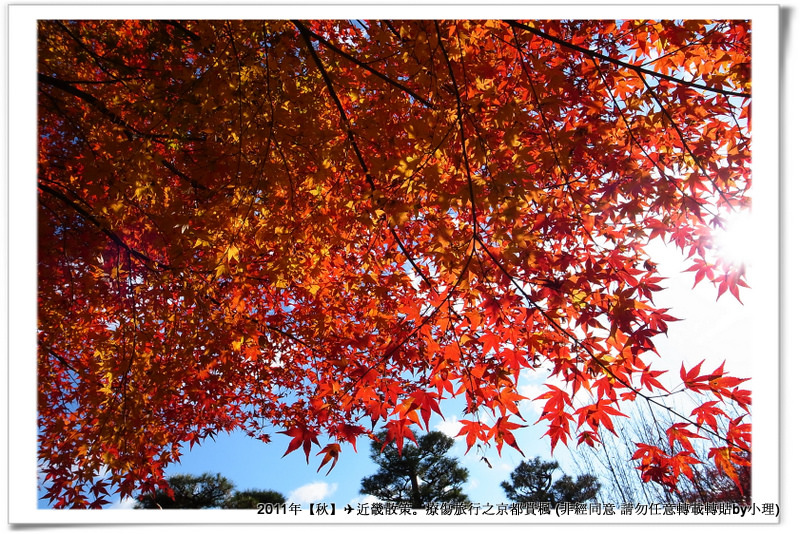 常寂光寺045