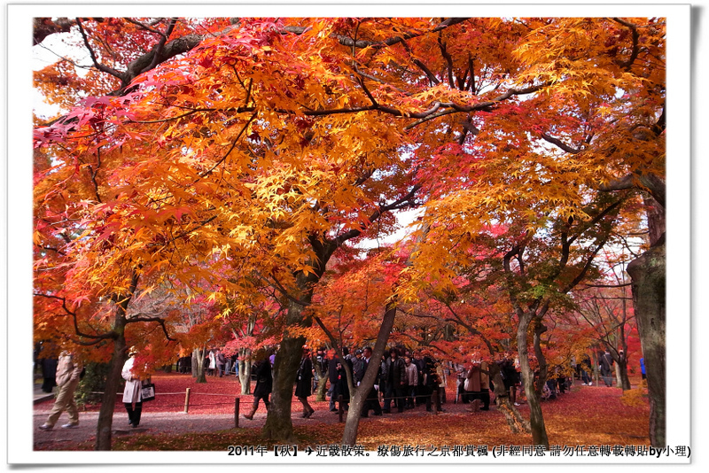 東福寺024