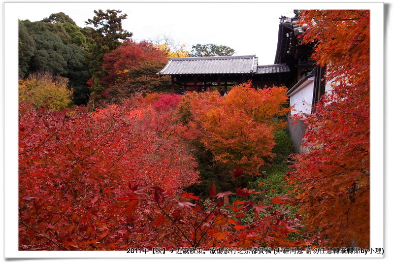 東福寺030