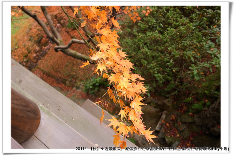 東福寺031