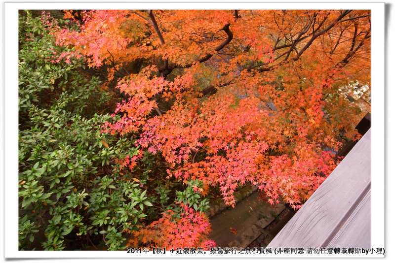 東福寺032