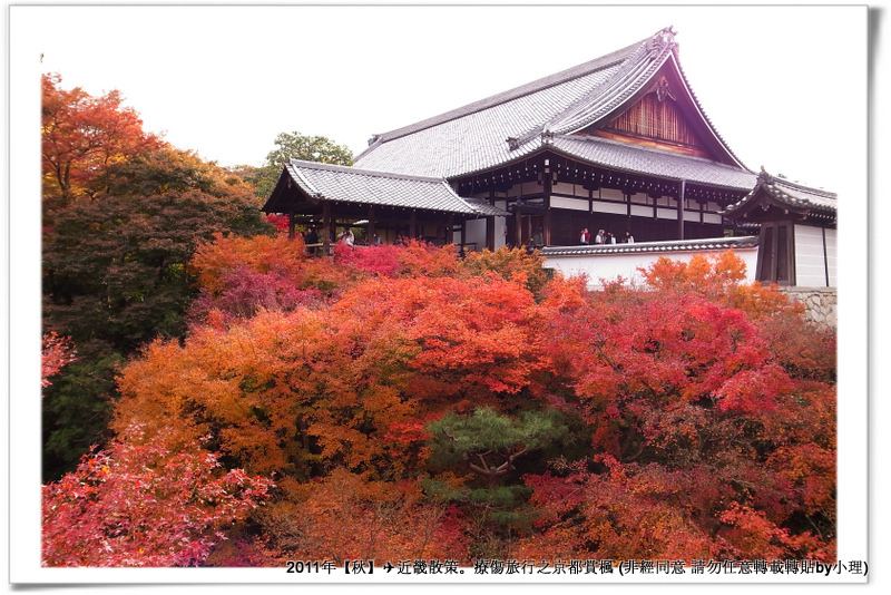 東福寺034