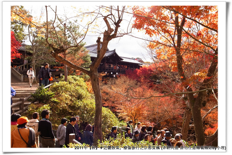 東福寺039