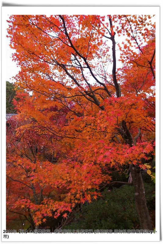 東福寺040