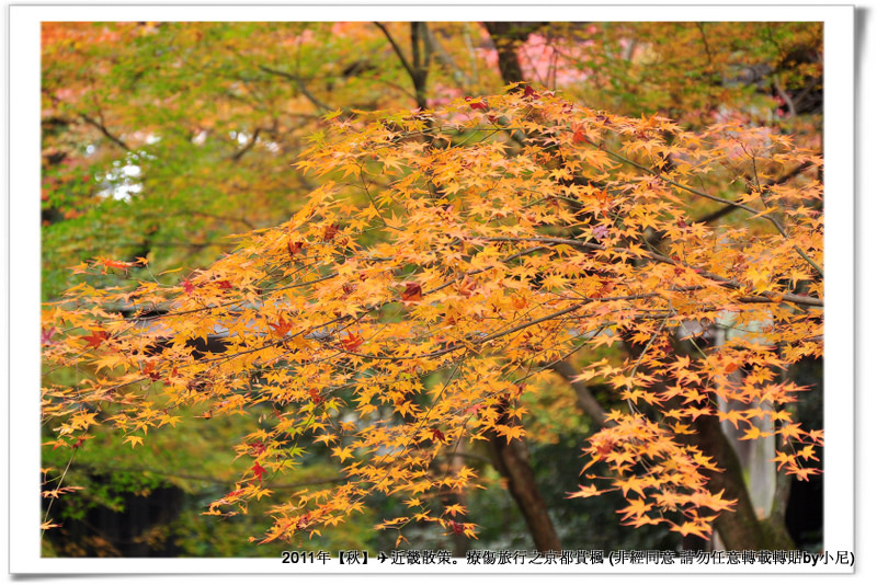 東福寺042