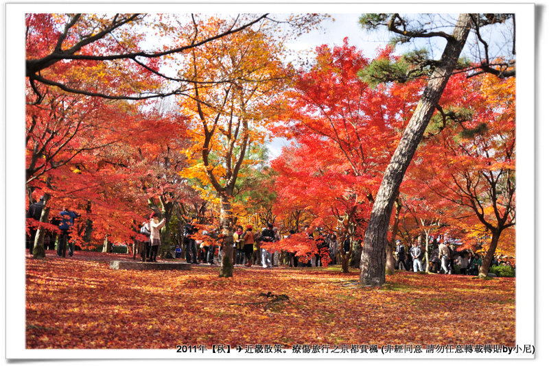 東福寺044