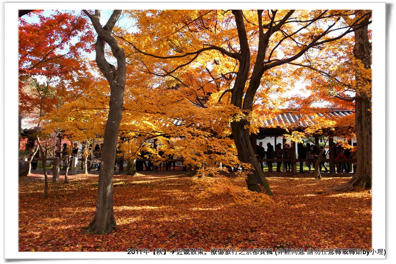 東福寺047