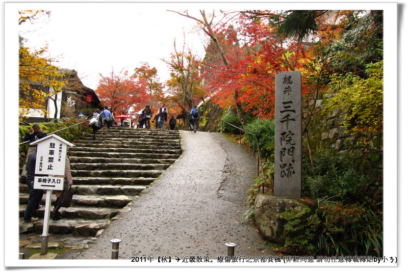 三千院013