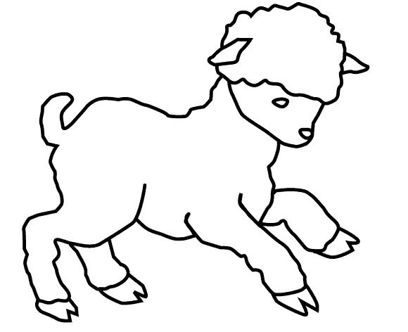 Lamb.JPG Lamb.JPG