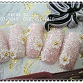 粉紅小野菊 - 複製.JPG