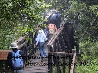 Bridge to the Ark