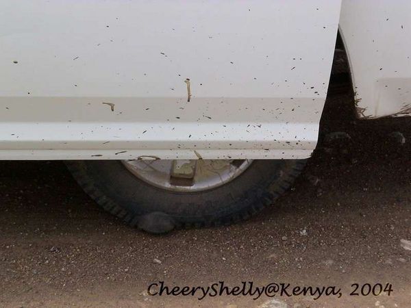 Flat Tyre1