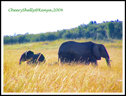 Maasai Mara