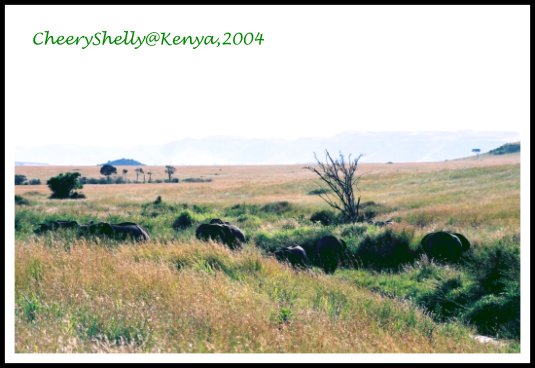 Maasai Mara