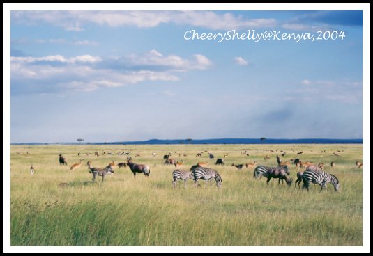 坦桑尼亞 Tanzania