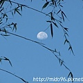 日出前的月亮-2