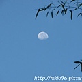 日出前的月亮-3