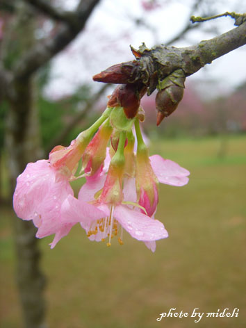 日月-10