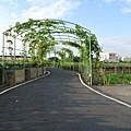 2013葡萄隧道-3