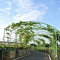 2013葡萄隧道-2