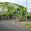 2013葡萄隧道-10