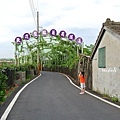 2013葡萄隧道-12