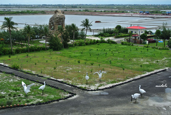 七股鹽山-17.jpg 七股鹽山-17.jpg