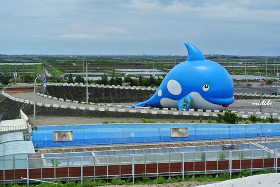 七股鹽山-21.jpg 七股鹽山-21.jpg