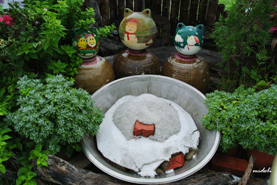 井仔腳-13.jpg 井仔腳-13.jpg