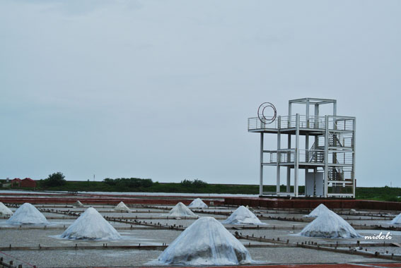 井仔腳-15.jpg 井仔腳-15.jpg