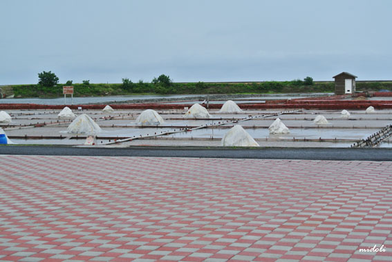 井仔腳-16.jpg 井仔腳-16.jpg