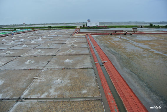 井仔腳-19.jpg 井仔腳-19.jpg