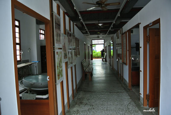 烏腳病-6.jpg 烏腳病-6.jpg