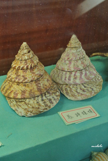 四草-27.jpg 四草-27.jpg