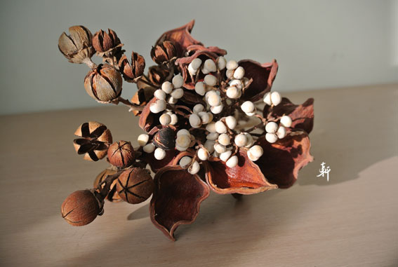 2015種子花圈-8.jpg 2015種子花圈-8.jpg