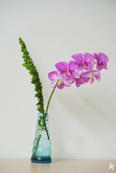 石斛蘭-7.jpg 石斛蘭-7.jpg