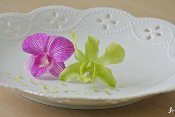 石斛蘭-8.jpg 石斛蘭-8.jpg