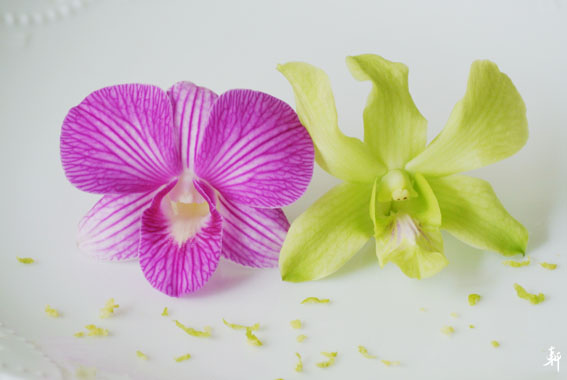 石斛蘭-10.jpg 石斛蘭-10.jpg