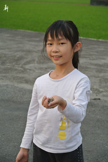 葡萄村-5.jpg 葡萄村-5.jpg