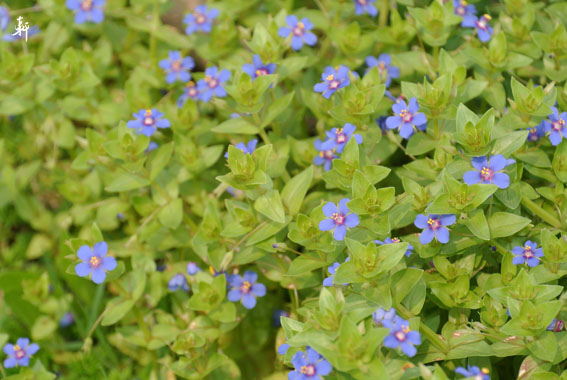 南寮漁港-30.jpg 南寮漁港-30.jpg