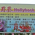 蜀葵花-15.jpg