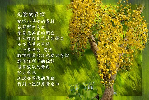 光陰的存摺-1.jpg 光陰的存摺-1.jpg