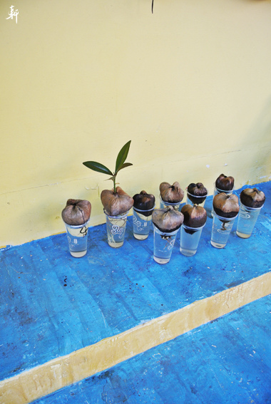 香蕉灣-15.jpg 香蕉灣-15.jpg