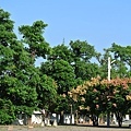 library-2.jpg