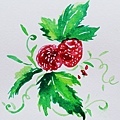莓果-1.jpg