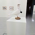 2020雙年展-32.jpg