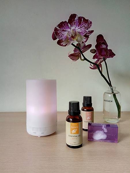 大創-薰香加濕器.jpg 大創-薰香加濕器.jpg