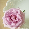 紫色rose-2.jpg