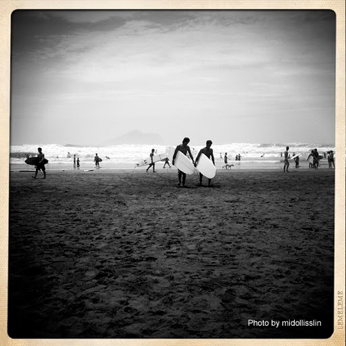 IMG_1433.JPG IMG_1433.JPG